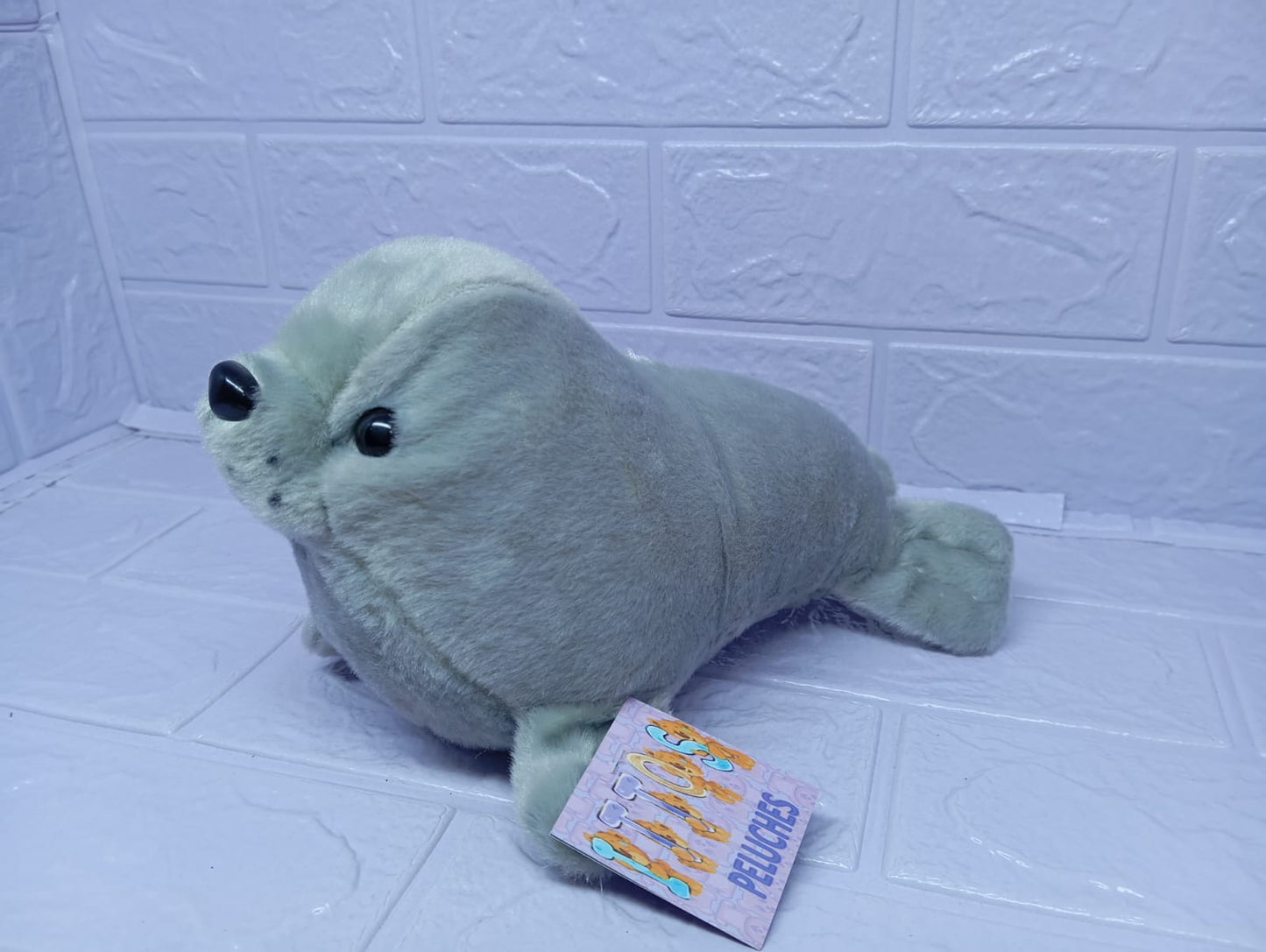 FOCA