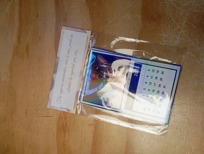 CALENDARIO POLAROID PERSONALIZADO